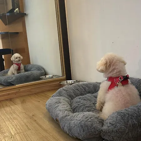 Bonalba Alicante Hotel 4*